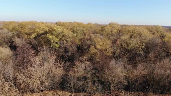 Beautiful Rural Autumn Landscape From a Drone in Russia