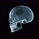 Skull X-Ray spinning loop - VideoHive Item for Sale