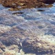 Transparent Water Of The Sea - VideoHive Item for Sale