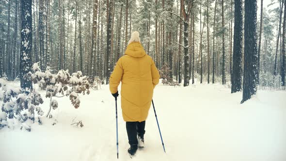 Elderly Woman Practicing Nordic Walking In Forest. Sticks Walking On Winter Wood. Sport Activities. alt
