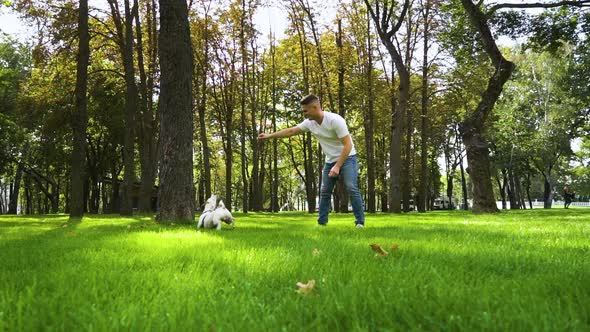 Happy Owner Playing with His Purebred Dog in Summer Park alt
