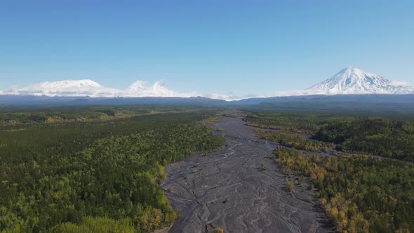 Forest and volcanoes covered with snow