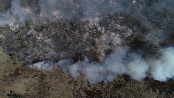 Forest And Fields Burn Top View Smoke Movement alt