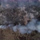 Forest And Fields Burn Top View Smoke Movement - VideoHive Item for Sale