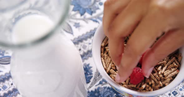 Cereal bran sticks with raspberries in a bowl 4k alt