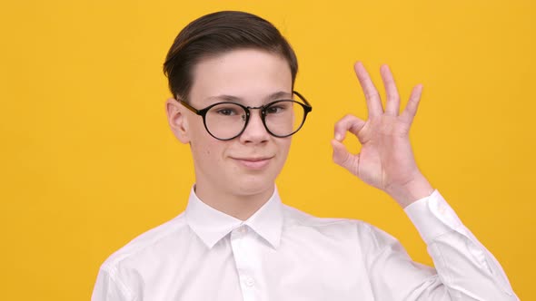 Cheerful Schoolboy Gesturing Okay Sign Posing Over Yellow Studio Background alt