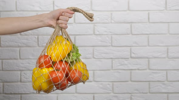 Eco Friendly Vegetables alt