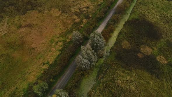 Married Wedding Couple Walking on the Road Among Grass Reeds and Trees