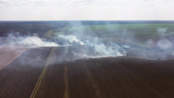 The Big Extensive Fire in the Field