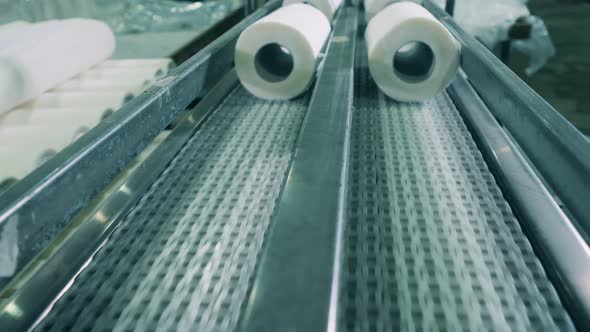 Metal Conveyor with Batches of Toilet Paper Rolls alt
