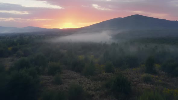 Fog Sun Mountains Field Smoke Dawn Sunset Summer alt