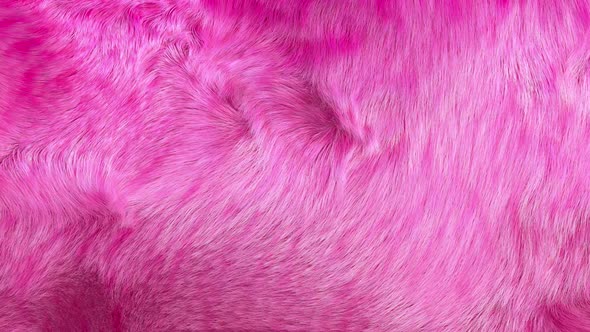 Pink Furry Background 4 K