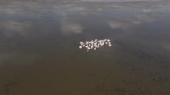 Aerial view of Madatapa lake in Javakheti National park. Georgia alt