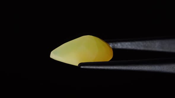Natural Yellow Fire Opal Gemstone in the Tweezer on the Background