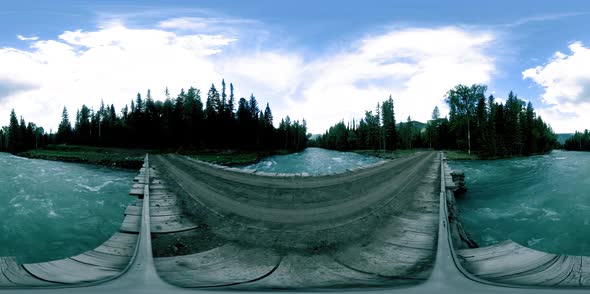 360 VR Virtual Reality of a Wild Forest. Pine Forest, Small Fast, Cold Mountain River. National Park alt