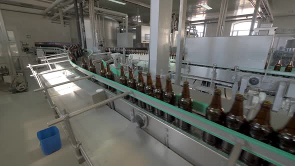Beer Bottles on a Conveyor Belt in Bottling Plant in Brewing Factory