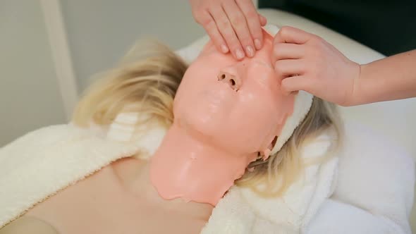 Spa Therapy for Young Woman Receiving Facial Mask at Beauty Salon. Rejuvenating Procedure  alt