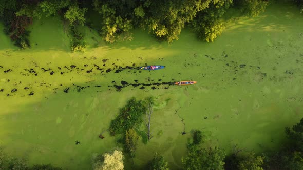 Aerial View of a Group of Kayaks Traveling on a Forest River on a Summer Day alt