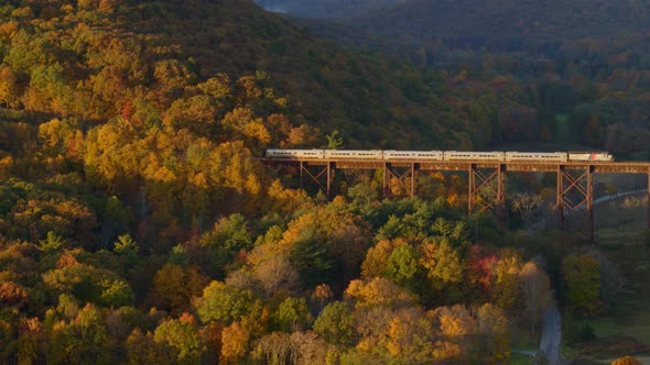 Aerial of train passing over railroad bridge through autumn forest alt