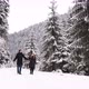 Couple in Love Walks on a Winter Road They Hold Hands a Beautiful Snowcovered Forest