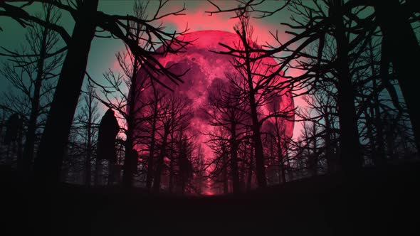 Horror Forest In The Blood Moon Night