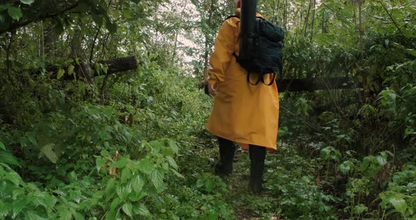 Hiker in Bandana and in Yellow Raincoat with Backpack Walks Along Forest Trail