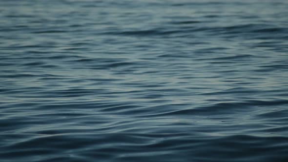 Blue Sea Waves in a Calm Sea alt