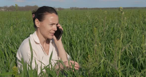 Speak on telephone in the grass. alt