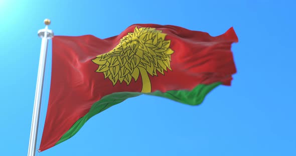 Flag of the Russian Federal Subject of Lipetsk Oblast, Russia alt