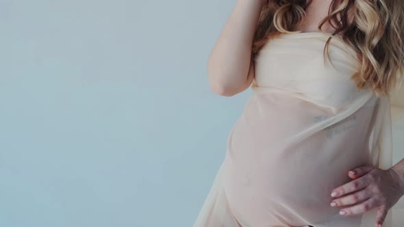 Elegant Sensual Pregnancy Young Woman with Maternity Tummy alt