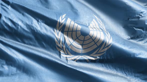 UNPA - United Nations Parliamentary Assembly textile flag waving on the wind loop alt
