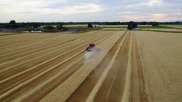 Wheat Fields