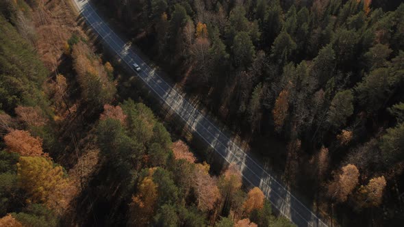 Closeup road with traffic cars between autumn forest in Ural