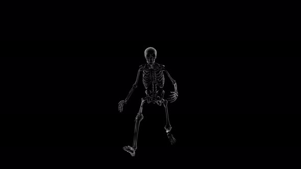  Skeleton Run