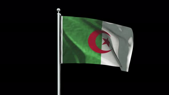 Algeria Flag Big
