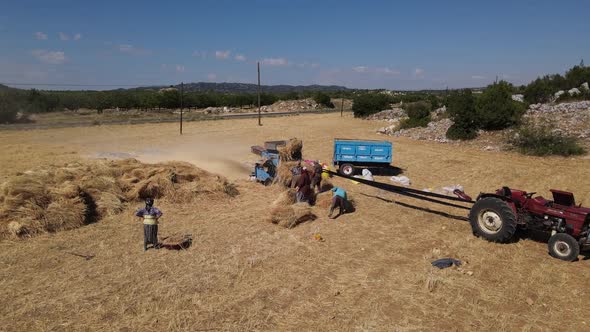 Pathos Peasant Harvest Dumper Farm Worker alt