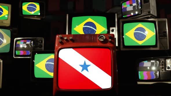 Para State Flag and Brazil Flags on Assorted Vintage TVs alt