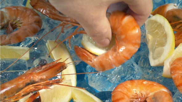 Person Takes Shrimp From Buffet alt
