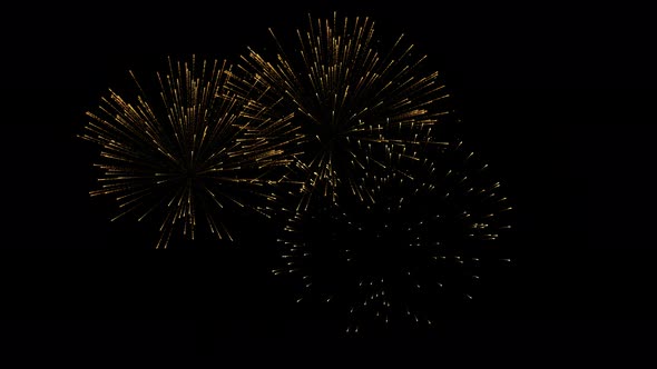 Beautiful fireworks display motion graphic