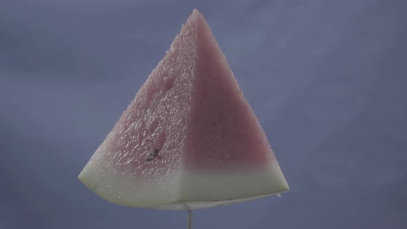 Watermelon Rotating with Loop on Blue Screen for Chroma Key alt