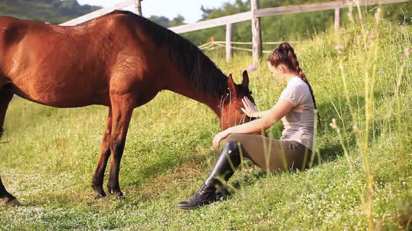 Young female sitting rider sitting on grass, stroking grazing horse