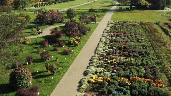 Top View of the Autumn Minsk Botanical Garden