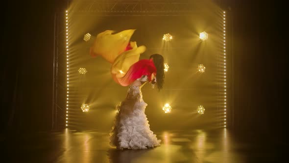 Belly Dancer Dancing with Silk Fan Tissues. Shot in a Dark Studio with Smoke and Neon Lighting. alt