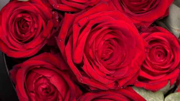 Gentle colourful bouquet of red roses on turn table, close-up