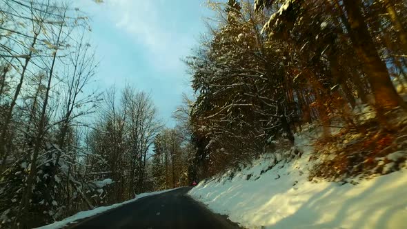 Driving in a Car Through Winter Forest
