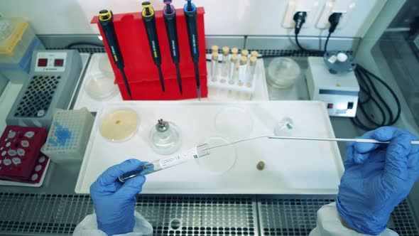 Biochemical Research Is Being Carried Out on a Covid-19 Test Tube. Coronavirus 2019-nCoV Concept. alt
