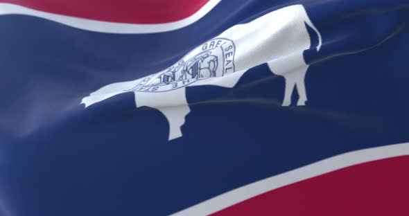 Flag of Wyoming State alt