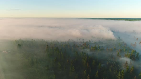 Forest Burning Aerial Shot at Sunrise alt