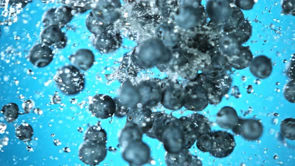 Super Slow Motion Shot of Flying and Splashing Fresh Blueberries at 1000Fps. alt