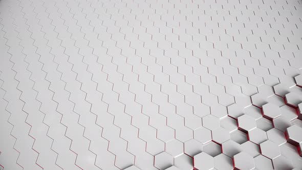 Red and white Hexagonal.